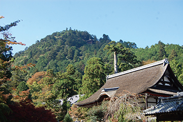 八王子山（日吉大社参道 求法寺前より望む）