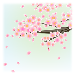 天台宗 天台宗について 法話集 満開の桜